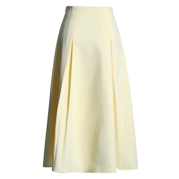 Pretty 3D Petal Applique High Waist Pleated Trim A Line Midi Skirt