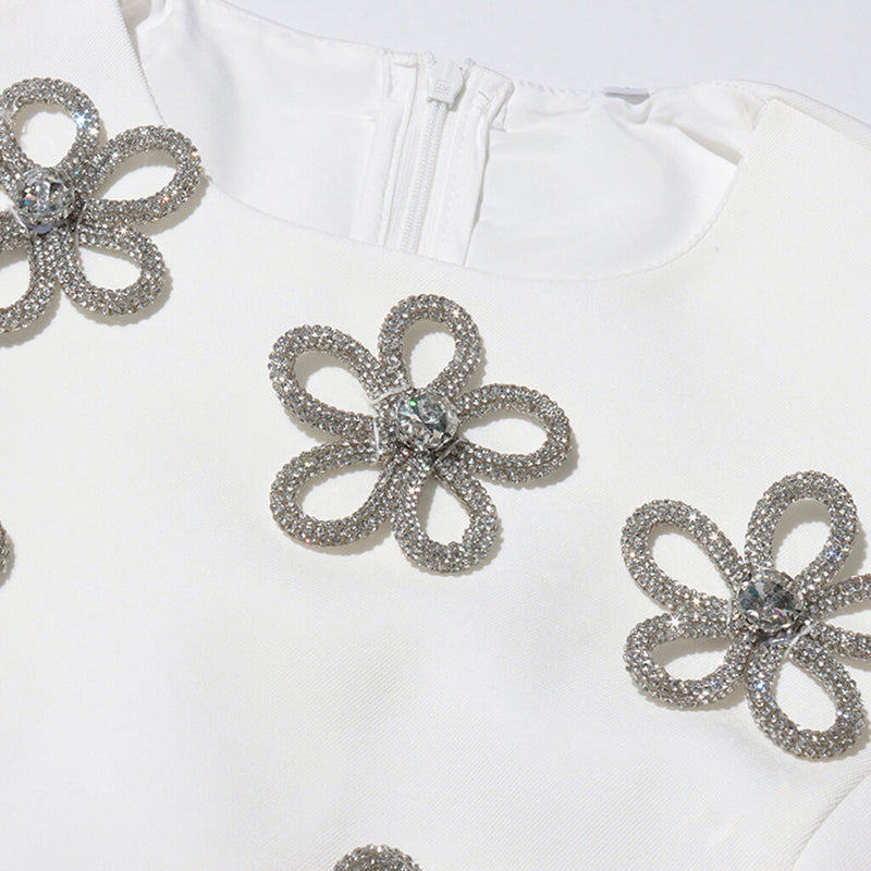 Shimmering Crystal Floral Embellished Crew Neck Sleeveless Skater Mini Dress